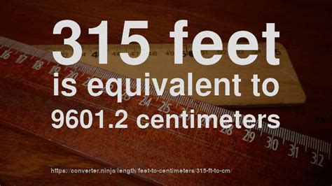 315 cm in feet